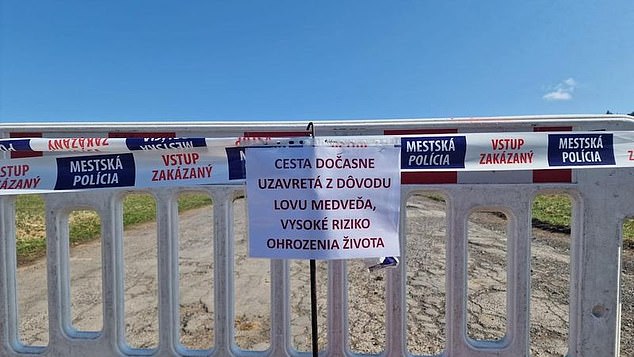 A sign was erected in Liptovský Mikulá¿ warning residents to stay out of the area as authorities prepared to use firearms to capture the bear.