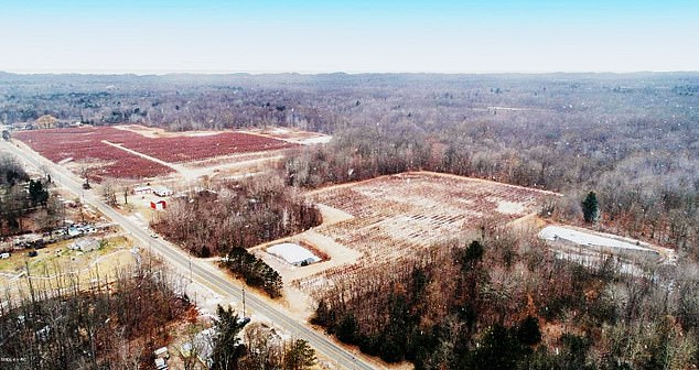 The plant is in Van Buren County's Covert, about 40 miles west of Kalamazoo, where about 3,000 people live.  The city spans thirty-five square miles, with dense forests and blueberry farms.