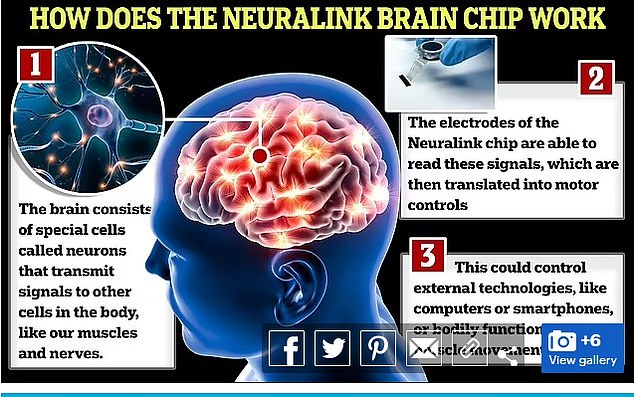 Neuralink brain chips transmit signals to the body's nerves that translate into motor controls