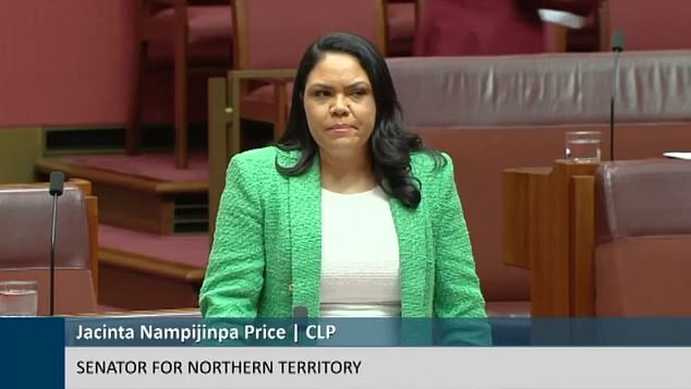 Senator Jacinta Nampijinpa Price says the money being spent in Alice Springs is not producing results and an audit is needed.