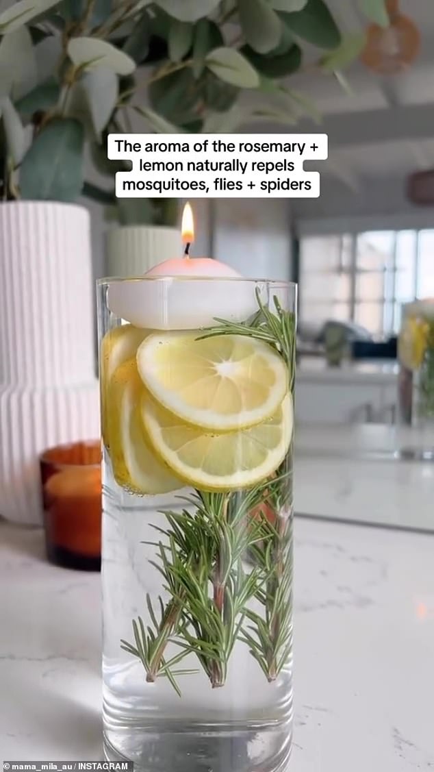 The Melbourne mother-of-two said it is the perfect centerpiece for outdoor entertaining as the scents naturally deter mosquitoes, flies and spiders.