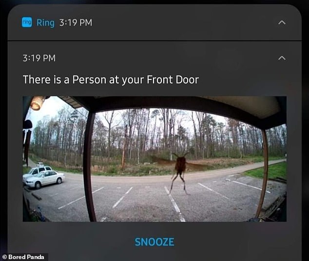 Unexpected Visitor: Is it an alien or just a very unusual insect ringing the doorbell? The screenshot was shared from the US.