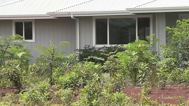 The confusion occurred when local developer Keaau Development Partnership hired PJ's Construction to build about a dozen homes on land the developer purchased in the subdivision, but the company built one on Reynolds' lot.