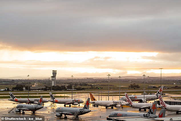 A recent Senate Estimate heard that the absence of just two air traffic controllers at Sydney Airport caused flight delays across the country (file image)
