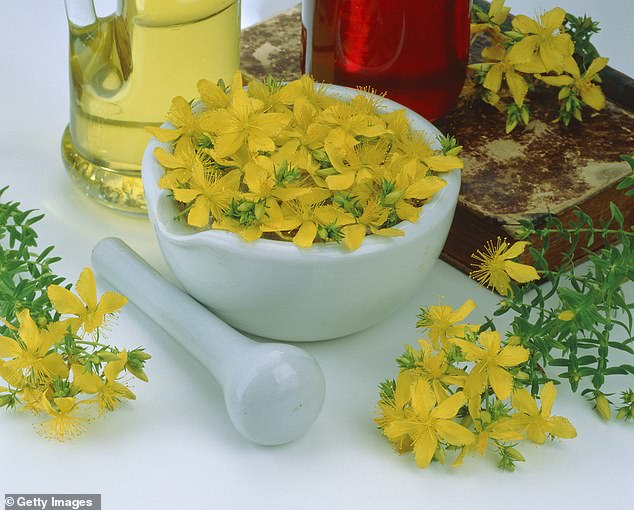 St Johns Wort interacts with an entire class of medications designed to help lower cholesterol