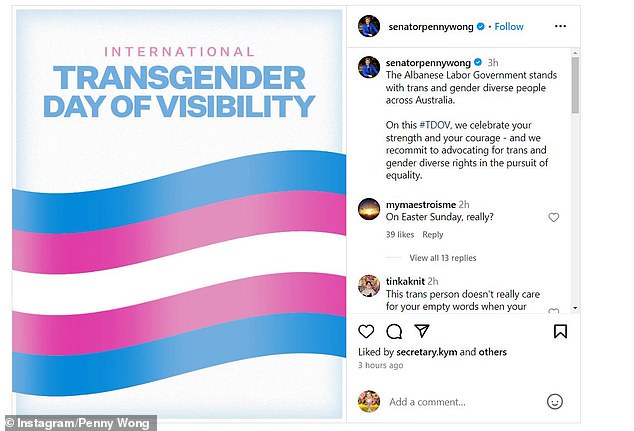 The Foreign Minister shared an image of the transgender flag with blue, purple and white stripes on Sunday to mark International Transgender Day of Visibility (pictured)