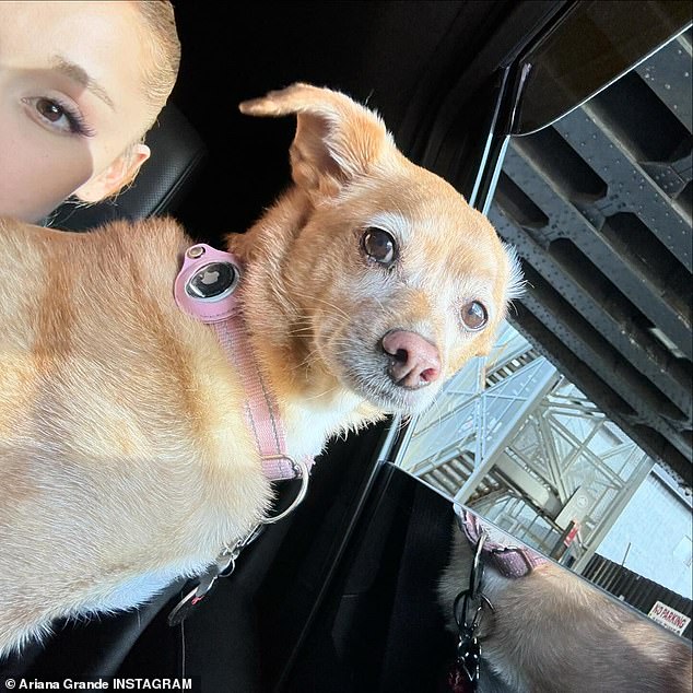 There was also a snap of a dog sitting on Ariana's lap while they sat inside a car.
