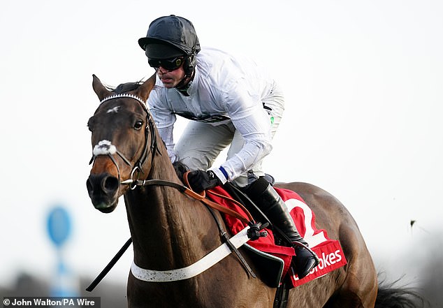 The horse's poor health forced him to withdraw from the Cheltenham Festival, where he was one of the bankers.
