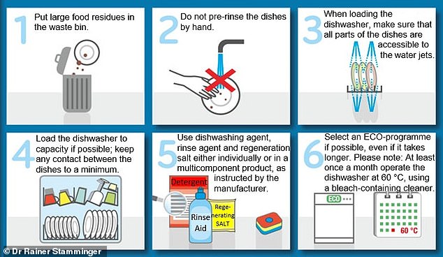 This graphic presents Dr. Rainer Stamminger's six-step process for cleaning dishes in the dishwasher.