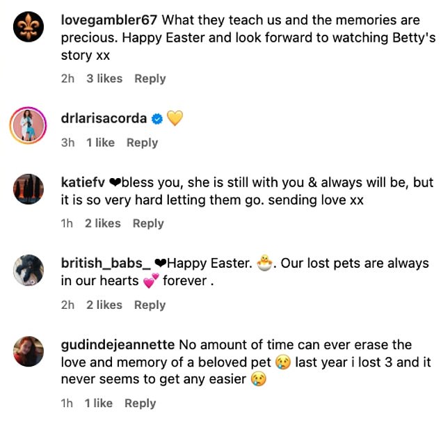 Followers rushed to the comments section to wish Scott well while also sharing memories of their own four-legged friends.