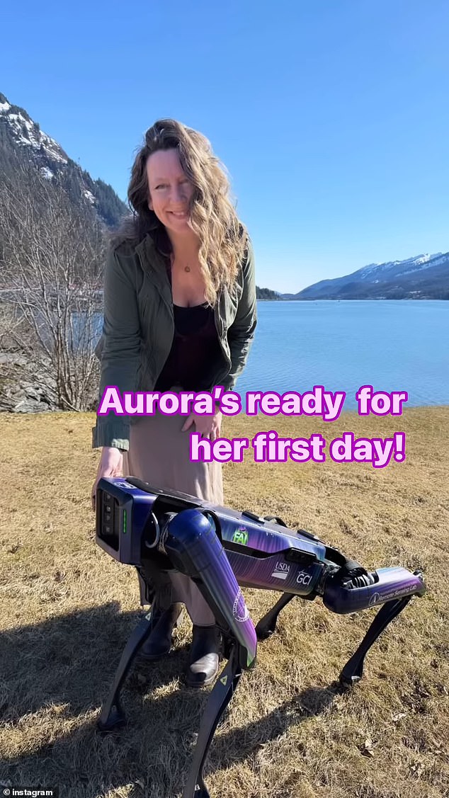 Aurora was designed in-house by Boston Dynamics and its creation was subsidized by a federal grant.