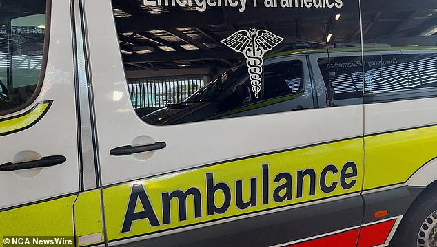 Paramedics tried unsuccessfully to revive Mrs Whittaker, while two other people were found in critical condition and taken to hospital (file image)