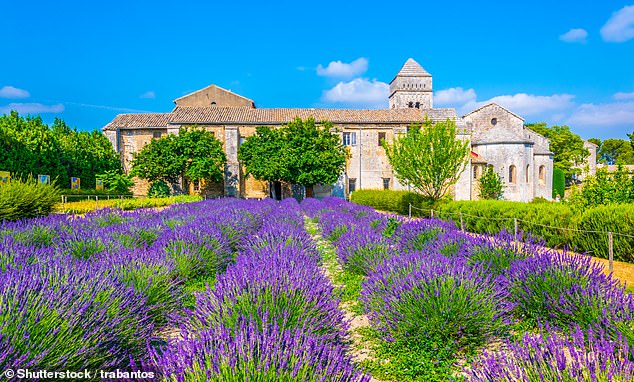 A brush with Van Gogh in picture perfect Provence How to