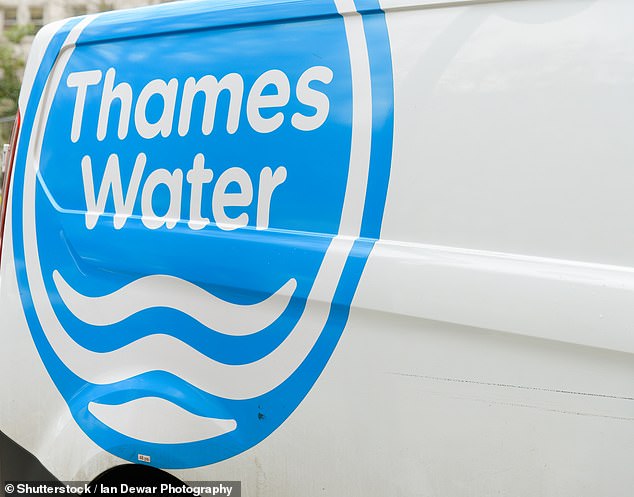 Under pressure: Sir Adrian Montague's presence at Thames Water was intended to ease financial tensions