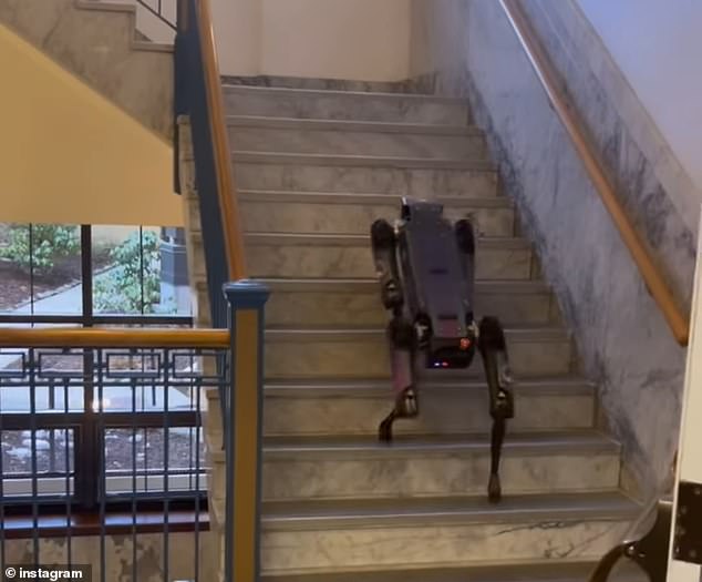 Aurora, unlike many other autonomous robots, can climb stairs with relative ease