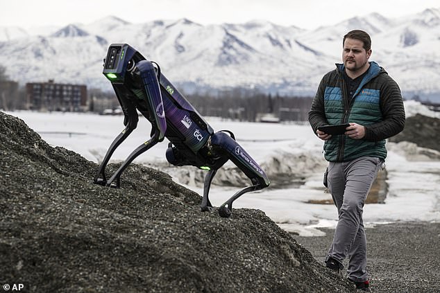 Aurora, a 'robot dog' will have the task of keeping an Alaska airport free of birds and other wild animals that could pose a threat to aviation in the area