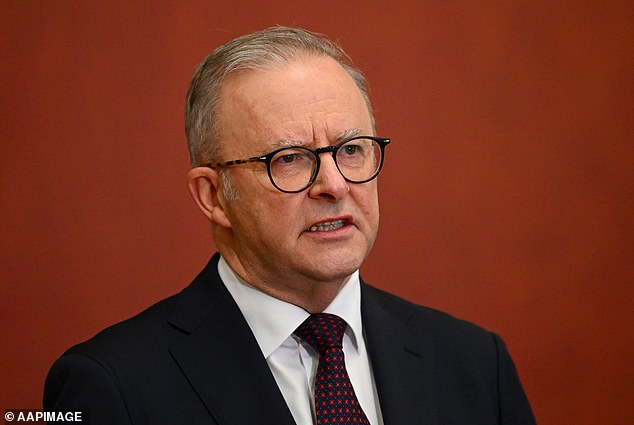 Anthony Albanese's housing policy has come under fire after new research revealed just four per cent of homes in a major city would be eligible for it.  The Prime Minister appears in the photo.
