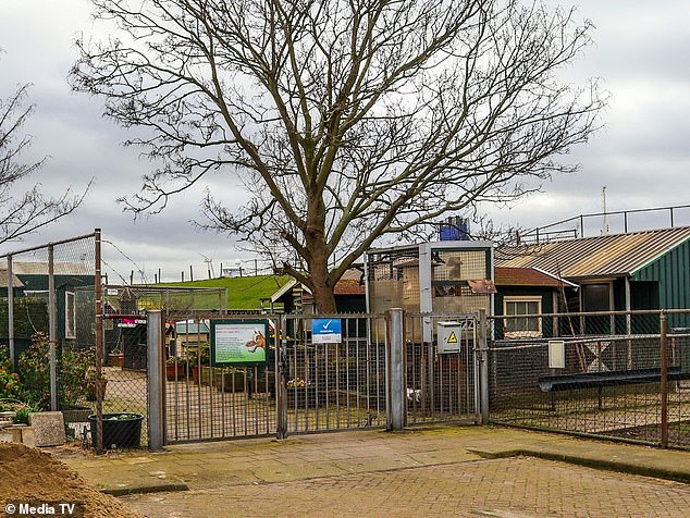 A nine-year-old boy went on an animal killing spree last week at a petting zoo in Hoek van Holland, the Netherlands.