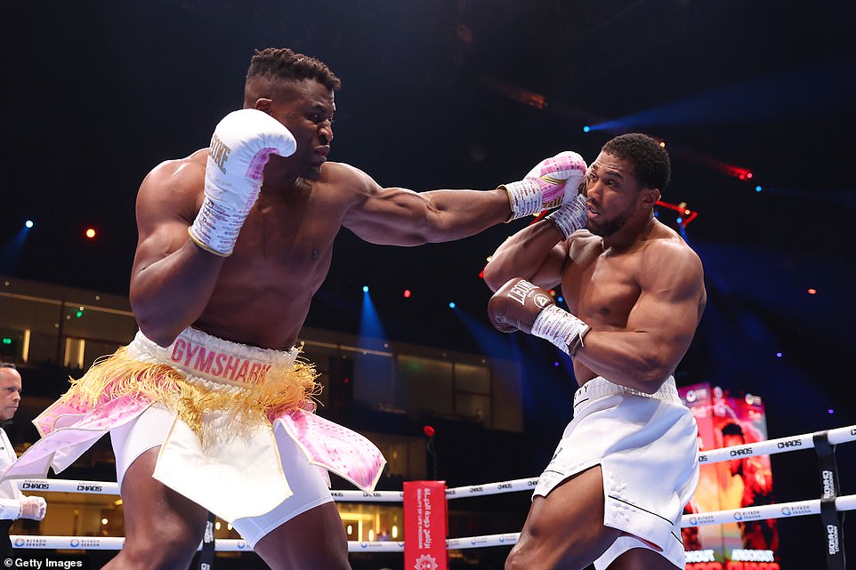 Anthony Joshua (L) scored an impressive KO victory over Francis Ngannou (L) in their highly anticipated fight on Friday.