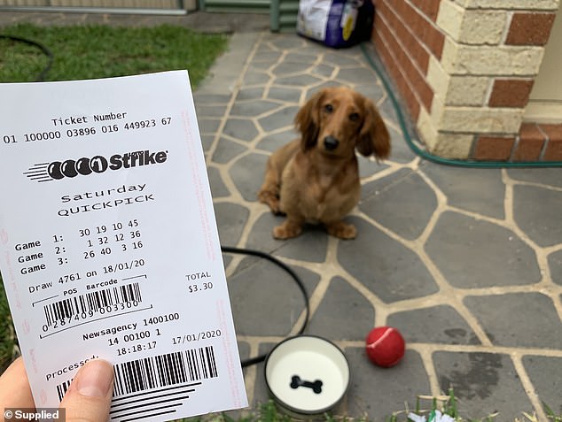 The man from Quakers Hill in Sydney's northwest was the only winning Division 1 entrant in Lotto Strike draw 5142 on Saturday and took home $1,704,523 (stock image)