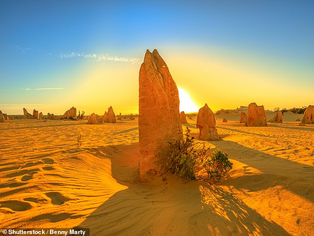 The above-average temperatures were caused by heatwaves across the country, with Western Australia (file image from Nambung National Park) hardest hit by the extreme conditions.