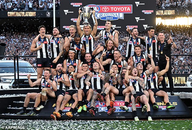 Sports organizations such as the AFL (pictured) can open themselves up to legal risks by not dealing with climate change properly