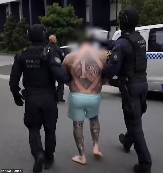 A bikie with a massive '1 percent' tattoo on his back was arrested in dramatic scenes by heavily armed officers after allegedly stabbing a man in the buttocks last year