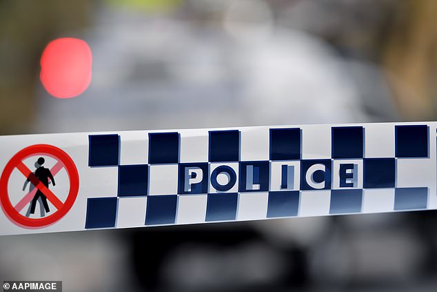A woman's body has been discovered in a container on an isolated stretch of road as homicide detectives head to the scene.