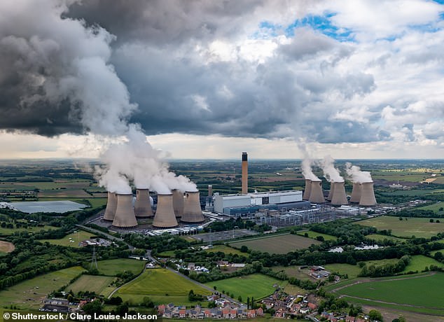 Up in smoke: Drax said it bought 8 million tonnes of wood globally and burned 6 million in 2023