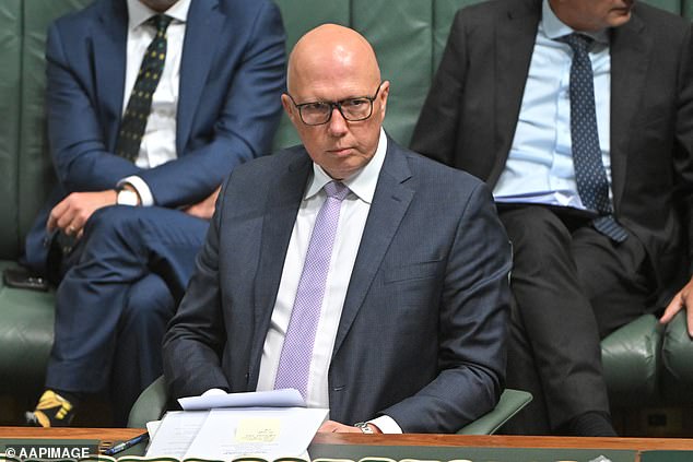 The Liberal Party has been widely mocked for the image. Pictured: Opposition leader Peter Dutton.