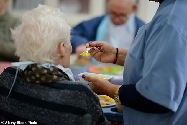 Long-awaited reforms in aged care may fail to deliver the changes the sector 'desperately' needs, MPs warn today (stock image)