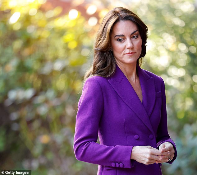 Paddy Harverson, former official spokesperson for Kate and the Prince of Wales, said the online attack on Kate (pictured) was the worst he had ever witnessed.