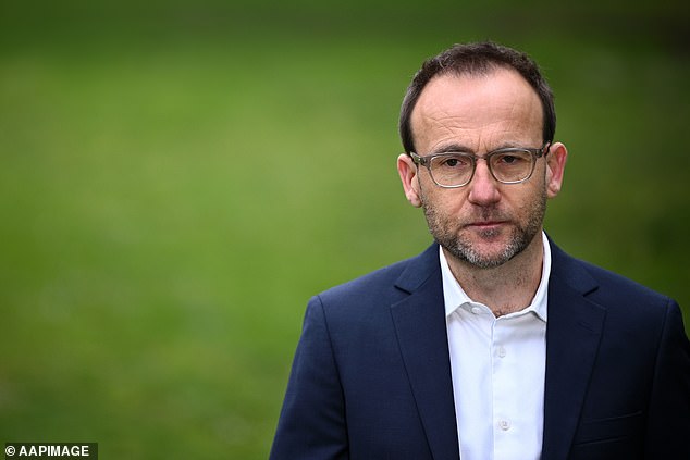 Most recently, Greens leader Adam Bandt has come under fire for racking up an expense bill of nearly $1 million a year, including hundreds of thousands in print and two private jet flights