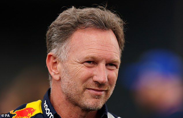 Christian Horner timeline Meetings with lawyers alleged leaked messages and