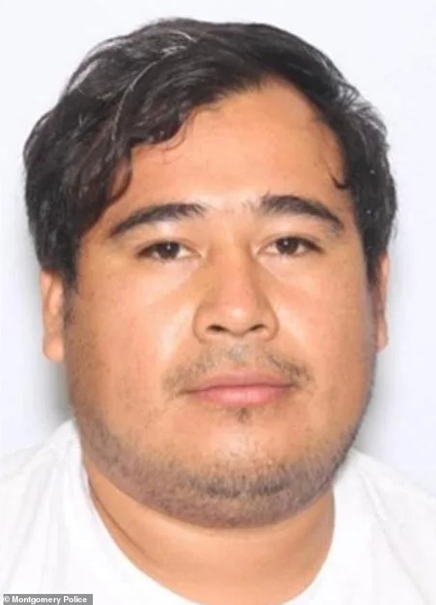 Ervin Jeovany Alfaro Lopez, 33, was charged with more than 20 counts of child sexual abuse and sexual offenses for allegedly molesting young girls ages six to 12.