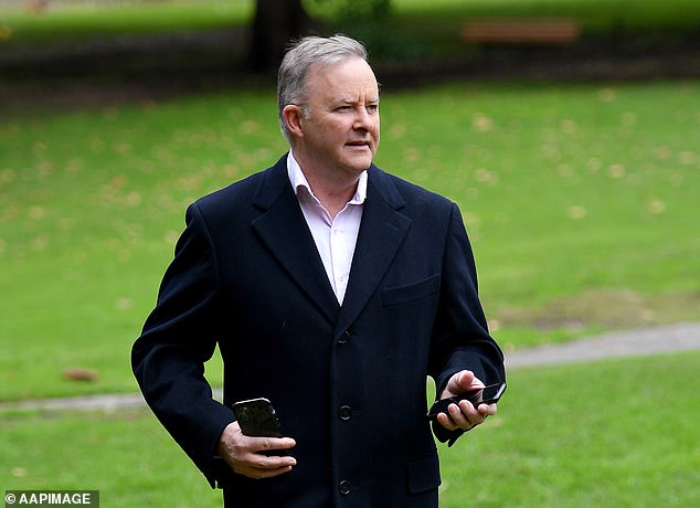 Prime Minister Anthony Albanese (pictured) said on Thursday the Australian government was not expected to follow the US in banning TikTok
