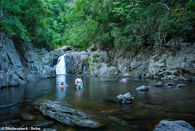 The body of a 20-year-old international student has been pulled from the water at Crystal Cascades, west of Cairns (pictured)