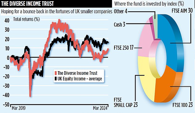 DIVERSE INCOME TRUST UK specialist pinning its hopes on interest