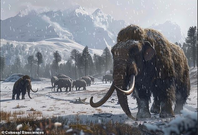 Colossal Biosciences has made a breakthrough that could lead the woolly mammoth to return to Earth before 2050