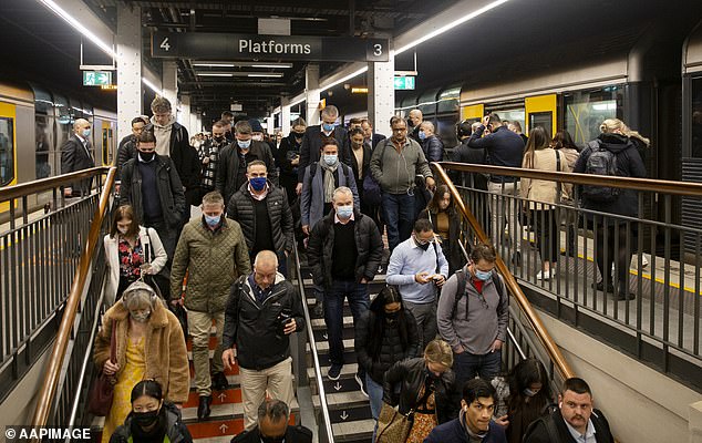 Smith believes immigration numbers should be cut to just 75,000 a year to reduce pressure on house prices, rents, roads and hospitals (pictured, Sydney commuters)