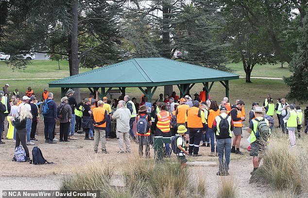 Volunteer search teams are seen in the Ballarat bushland on February 24.