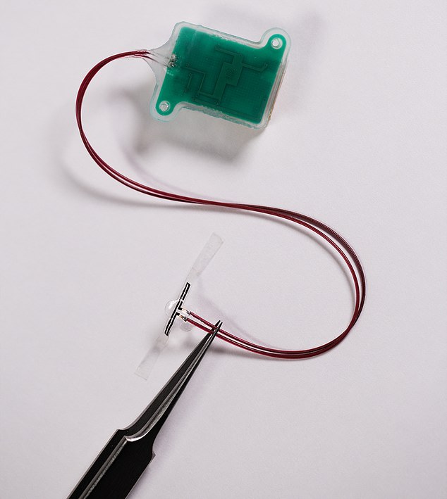 The soft, stretchable sensor is the elongated section near the tip of the tweezers.  The green box is the implantable 'base station', containing electrical components to power the device and transmit data wirelessly.