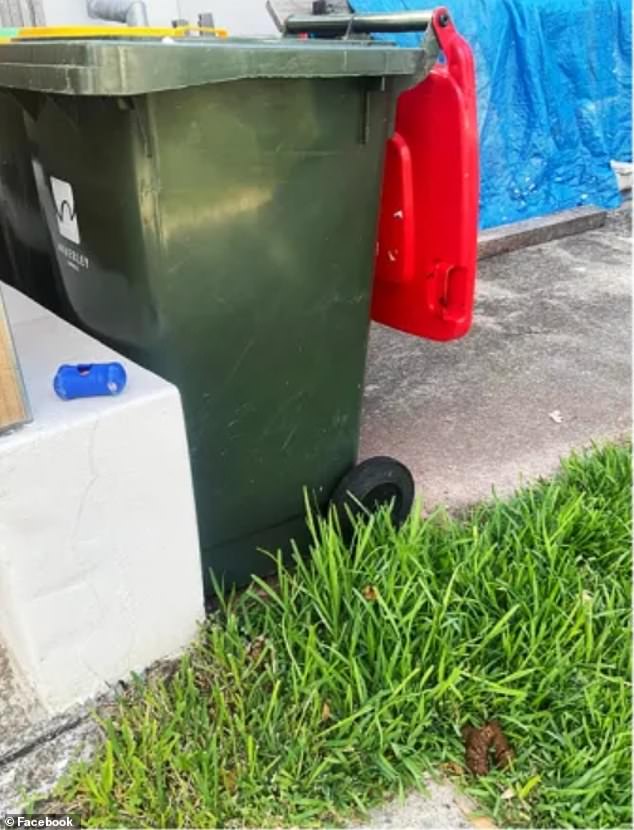 The fed up neighbor said the council should fine pet owners who don't clean up after their dogs (pictured) and those who dump the remains in a bin belonging to another resident.