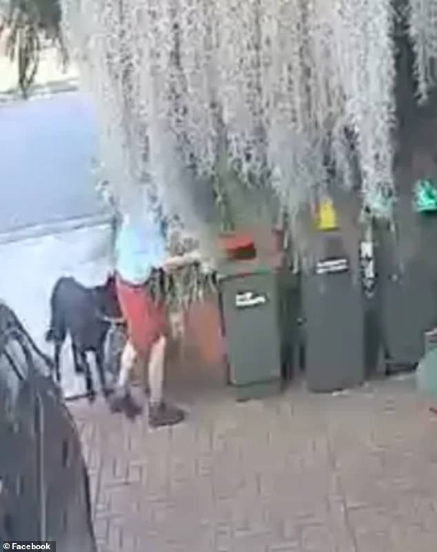 A dog walker who was caught throwing a bag of his pet's poo into a resident's red bin (pictured)