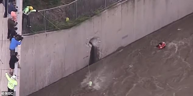 The unidentified Californian woman, 35, was swept away by the Los Angeles River, which was flowing at a speed of 15 mph.