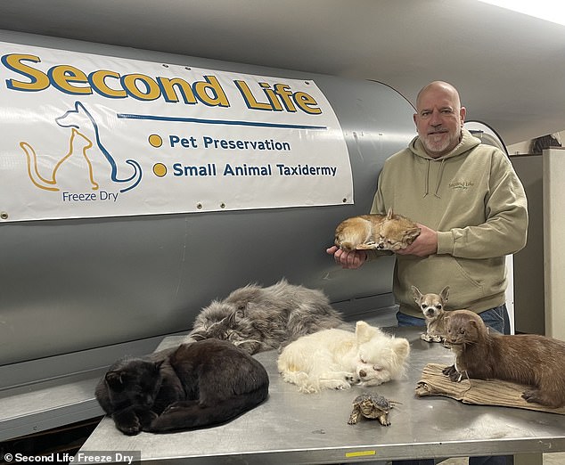 Chuck Rupert, owner of a company called Second Life Freeze Dry, told DailyMail.com that he typically preserves up to 90 animals a year, including dogs, cats, hamsters, hedgehogs, guinea pigs, ferrets, squirrels, mink, turtles and even snakes. of rattlesnake
