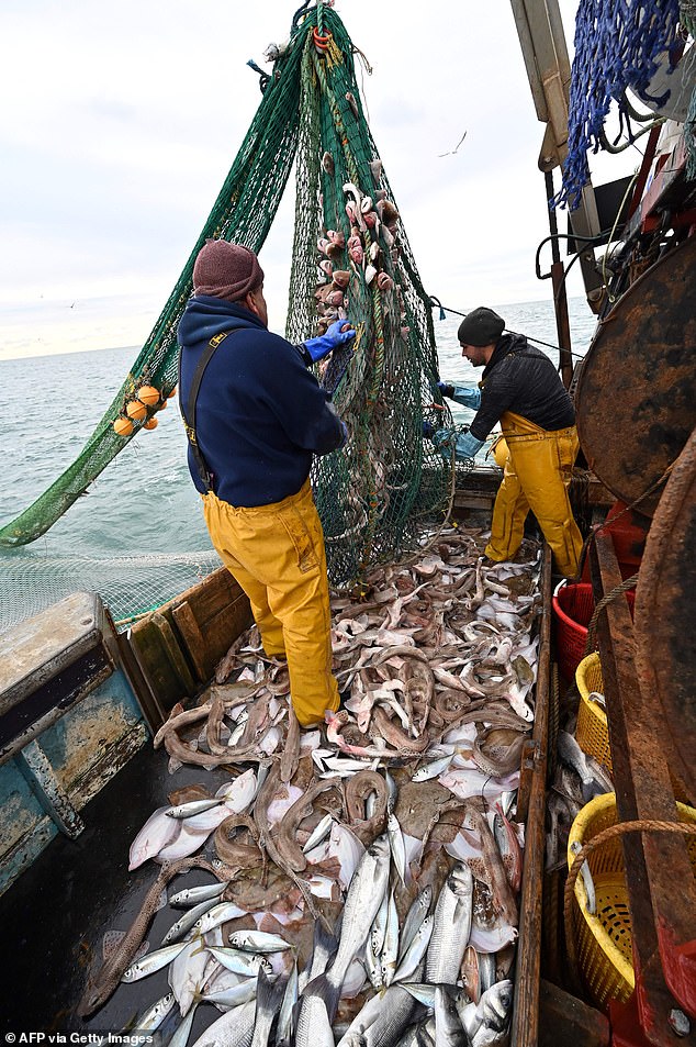 Fat fishermen have been given a break after a ban on them working at sea if they are overweight was lifted by the Transport Secretary following complaints from the industry (file photo)