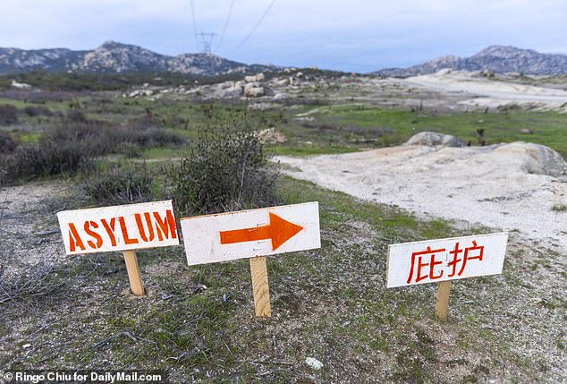 A Chinese migrant camp near Jacumba, California has signs showing Chinese asylum seekers where to surrender to US Border Patrol agents