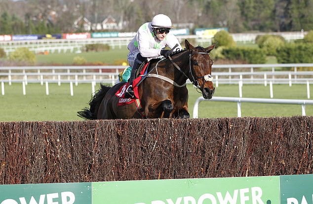 Gaelic Warrior (pictured at Leopardstown last month), claimed a dominant victory at Cheltenham
