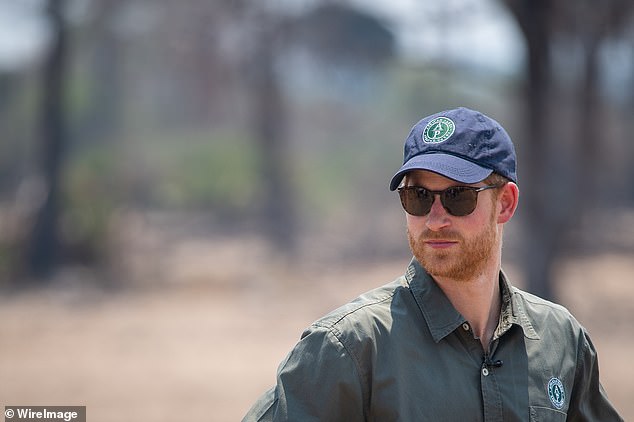 Prince Harry, wearing an African Parks cap, watches an anti-poaching demonstration exercise in 2019